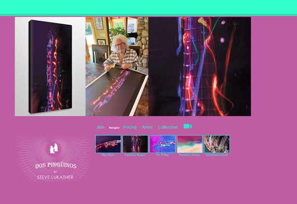 Website snapshot — Dos Pingüinos collection